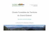 Charte Forestière de Territoire du Grand Esterel · 2018-01-23 · →Pas d’exploitants sur le territoire – difficulté à rentrer dans leur frais pour des exploitants de territoires