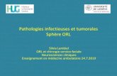 Pathologies infectieuses et tumorales Sphère ORL · 2019-09-17 · ORL et chirurgie cervico-faciale Neurosciences cliniques Enseignement ... - sinus sphénoïdal-orifice tubaire-partie