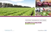 Portrait sectoriel des légumes frais · 2018-02-28 · • La consommation de légumes frais au Canada s’est accrue de 5% en 10 ans, passant de 66,4 kg/personne en 2006à 69,7