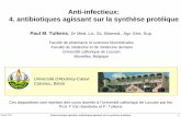 Anti-infectieux: 4. antibiotiques agissant sur la synthèse ... · indications restreintes à la pneumonie aux USA invitation à la prudence en Europe • hépatotoxicité (hépatite