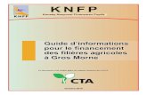 Konsey Nasyonal Finansman Popile - KNFPknfp.org/knfp/ressources/20151207095027.pdf · ii Ce guide est réalisé suite aux recherches menées par Pascal Lundy . ... Production agro-fruitière