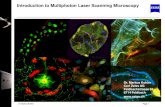 Introduction to Multiphoton Laser Scanning Microscopy · Fluorescence Microscopy - Absorption of light rises a fluorochrome molecule to an excited state of higher energy content -