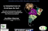 La toxoplasmose en Amérique du Sud - GISPESurprévalence de toxoplasmose oculaire (TO) en Amérique du Sud Rétinochoroïdite toxoplasmique: Costa et al., 2017 ≈2% des personnes