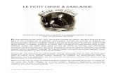 Le Petit Chose à Sarlande - NIMES, ROCHEFORT DU GARDnemausensis.com/Nimes/Diaporama/Daudet/LePetitChose.pdf · Le Petit Chose à Sarlande Ce que fut en réalité le séjour d'Alphonse