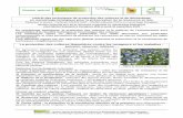 La protection des cultures légumières contre les ravageurs ... · dossier présenté lors de la rencontre organisée en maraîchage biologique chez Michel Seimandi à Ventabren