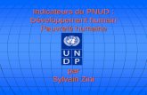 Indicateurs du PNUD : Développement humain Pauvreté …pol1900.weebly.com/uploads/2/6/0/1/26016275/indicateurs_du_pnud.2013.pdfPIB/Hab (PPA) : les 40 meilleurs (dollars) 0 20000