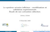 Le système urinaire inférieur : modélisation et validation · PDF file 2014-10-18 · Le système urinaire inférieur : modélisation et validation expérimentale. Étude de son