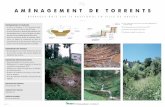 améNagemeNt de tOrreNts · Fiche: F-E3 BIOTEC Biologie appliquée | Vue d‘un glissement avant les travaux, avec bloc de gypse affleurant (printemps 1998) Vue des barrages-bois