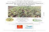 CENTRE R ET D’E A B M P Résultats des essais tests de couverts … · 2017-06-29 · C.R.E.A.B. Midi-Pyrénées : Résultats de l’essai couverts végétaux 2015 C.R.E.A.B. MIDI-PYRENEES