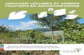 ASSOCIER LÉGUMES ET ARBRES FRUITIERS EN AGROFORESTERIE · 4 Le projet SMART (2014-2017) a visé à déve-lopper des connaissances sur les associa-tions agroforestières entre arbres