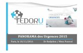PANORAMA des Urgences 2015 - FEDORU · Perspectives Résultats 18/11/2016 Page 2 Rassembler les données régionales dans un document de synthèse Continuité du panorama 2014 Présentation