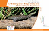 L’Emyde lépreuse · 2013-10-10 · (Roger Fons), SOPTOM (Jean Paul Hardy), IUCN/SSC Tortoise and Freshwater Turtle Specialist Group (Jérôme Maran), association.du refuge des