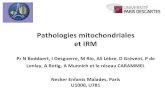 Pathologies mitochondriales et IRM Pathologies mitochondriales et IRM Pr N Boddaert, I Desguerre, M
