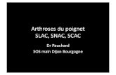 Arthrosesdupoignet SLAC,SNAC,SCAC - handsurgerytutorials · 2017-01-18 · SNAC & SLAC: traitement • L,tLi Cˆ C,mdi C˘ n ti oˇ hˆ pp ˆ , L ˇ hi C˘ n ti oˇ hˆ pp – ˇ