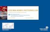 LES MALADIES VECTORIELLES - Académie de Guyane · 2019-10-06 · 1. Les maladies vectorielles 2. Le paludisme: généralités 3. Le paludisme en Guyane 4. La résistance aux antipaludiques