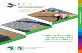 Renforcer les chaînes de valeur agricoles pour nourrir l ...idev.afdb.org/sites/default/files/documents/files/AVCD Cluster Report... · Il est impératif de se soucier de la rentabilité