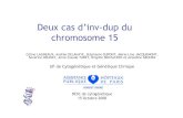 Deux cas d’inv-dup du chromosome 15 - eACLF€¦ · Inv dup(15) : clinique N.Bahi-Buisson and al, Archives de pédiatrie, fév 2005 • 1/30.000, sex ratio 1 • Retard de dvpt