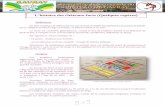 L’histoire des châteaux-forts (Quelques repères)chateaugavray.fr/Telechargements/Chateaux.pdf · l’histoire, elle est construite près de sources d’eau et de grandes étendues