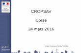 CROPSAV Corse 24 mars 2016 · 24 mars 2016 Didier Guériaux DGAL/SDSPA. Rappel du contexte des EGS ... – IAHP (26/11, 3 et 8/12/15, 16/1/16)
