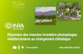Réponses des insectes forestiers phytophages méditerranéens au … · 2017-11-10 · Atelier REGEFOR 21/06/2017 Réponse du voltinisme à ↗ des T ... (Faccoli, 2009).022 3. RÉPONSES