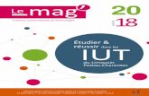Le mag - iut...Lemag s IUT Lms PoitCaents - 3 - ’ Le réseau national des 113 IUT permet, chaque année, à ses étudiants de préparer, dans le cadre européen de l’enseignement