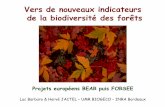 Vers de nouveaux indicateurs de la biodiversité des forêtsdocs.gip-ecofor.org/libre/BGF_RestitProjets_Jactel2_02122004.pdf · Vers de nouveaux indicateurs de la biodiversité des