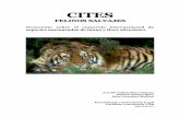 CITES - Dipòsit Digital de Documents de la UABI del Convenio CITES, de entrada en vigor a 23 de Junio de 2010, referente al colectivo felino en peligro de extinción. Por otro lado
