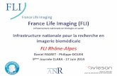 France Life Imaging - CLARA · multi-thérapies Mesure du volume et de l’œdème tumoral Modèles sous cutanés et orthotopiques de gliomes Suivi et analyses multiparamétriques