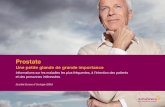 Prostate - swissurology.ch · volume de la prostate ne débute que chez l’homme d’âge moyen et gêne de plus en plus le passage de l’urine, au fur et à mesure de la croissance