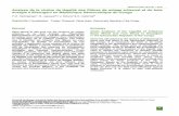 Analyse de la chaine de legalite des filieres de sciage ... Forets, Eaux et Biodiversite (PNEFEB), l'Agenda