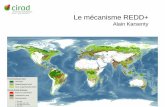 Le mécanisme REDD+caser.cnam.fr/IMG/pdf/La_deforestation_et_REDD.pdf · 2013-06-14 · Le principe de la REDD (Réduction des émissions issues de la déforestation et de la dégradation