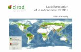 La déforestation et le mécanisme REDD+ Karsentyotmed.osupytheas.fr/sites/default/files/ancien_site/IMG/... · 2015-05-19 · Le principe de la REDD (Réduction des émissions issues