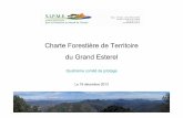 Charte Forestière de Territoire du Grand Esterel · Forestier de l’Estérel le 3 juillet 2012. ... apparu comme un axe prioritaire, mais la gestion du risque feu est essentielle
