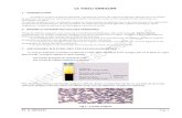 LE TISSU SANGUINuniv.ency-education.com/uploads/1/3/1/0/13102001/... · LE TISSU SANGUIN 1 – INTRODUCTION Le sang est un tissu conjonctif spécialisé, composé de cellules (les