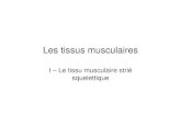 I – Le tissu musculaire strié squelettiqueagrovetoparc.free.fr/BCPST2/TP/Histo3_Les tissus musculaires.pdf · I – Le tissu musculaire strié squelettique. CT de muscle strié