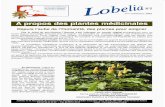 le site Internet de l'Observatoire Martiniquais de la Biodiversité · 2017-02-06 · En France, une plante médicinale doit être inscrite dans la liste des plantes de la Pharmacopée