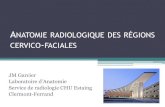 Anatomie radiologique des rأ©gions cervico-faciales 2018-01-21آ  vers le nasopharynx ou cavum Par les