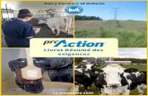 Livret Résumé des exigences Requirements... · 2019-10-21 · par vache Holstein mature. Les producteurs peuvent calculer la surface de l’aire avec litière et des allées de