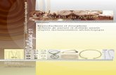 Reproductions et évocations d'objets de parure et …data.over-blog-kiwi.com/2/23/70/86/20170112/ob_4d4113...2017/01/12  · âge du bronze et 1 er âge de fer (modèle inspiré)