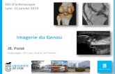 Imagerie du Genou - SFA · 2019-02-12 · Radiologie, CH Lyon-Sud et CH Centre . DIU D’arthroscopie . Lyon 31 janvier 2019 . DIU D’arthroscopie 2018-2019 - Imagerie du genou .