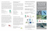 Bourgogne-Franche-Comté Nature - LES OBJECTIFS DE ...faune.bourgogne-nature.fr/fichiers/rencontres_bn/3_rbn/...Oiseaux en Bourgogne - Fédération départementale pour la pêche et