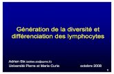 Génération de la diversité et différenciation des lymphocytesadrien.six.online.fr/IT/Documents/...Cours_diapos.pdf · 1 Génération de la diversité et différenciation des lymphocytes