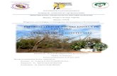 EN UTILISANT DES GRAINES FECALES DE Lemur cattabiblio.univ-antananarivo.mg/pdfs/ravaoharimananaRovasoaL... · 2016-08-03 · FECALES DE Lemur catta Présenté par : RAVAOHARIMANANA