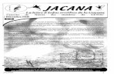 La lettre d'Infos ornithos de la Guyane - C'est en feuilletant des notes de terrain de Jean-Luc DUJARDIN