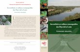 Invertébrés et milieux remarquables des Pays de la Loirefiles.biolovision.net/.../pdffiles/...2748-3341.pdf · les invertébrés aquatiques!), litières de feuilles mortes, interface