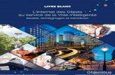 L’Internet des Objets au service de la Ville Intelligente · 2019-01-10 · 3 LIVRE BLANC SMART CITY G râce à l’Internet des Objets (IoT), mettre en place des solutions pour