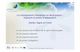 Le changement climatique en Bourgogne : Impacts et pistes ... · Les secteurs de la forêt et de la vigne en Bourgogne