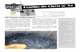 EN GUISE D EDITORIAL - speleo-doubs.com€¦ · provoqué le 16 mai 2015, outre une grave pollution des eaux souterraines, l’intoxication de l’équipe explorant la cavi-té. Le
