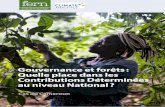 Gouvernance et forêts : Quelle place dans les Contributions Déterminées au niveau ... · 2019-03-29 · au niveau National (CPDN) qui sont devenues les Contributions Déterminées