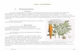 1. Présentation · 2016-02-21 · BNE EDT 1/15 Les carottes 1. Présentation Histoire La carotte (Daucus carota) est une plante bisannuelle de la famille des Apiacées (anciennement